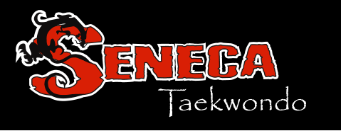aekwondo T